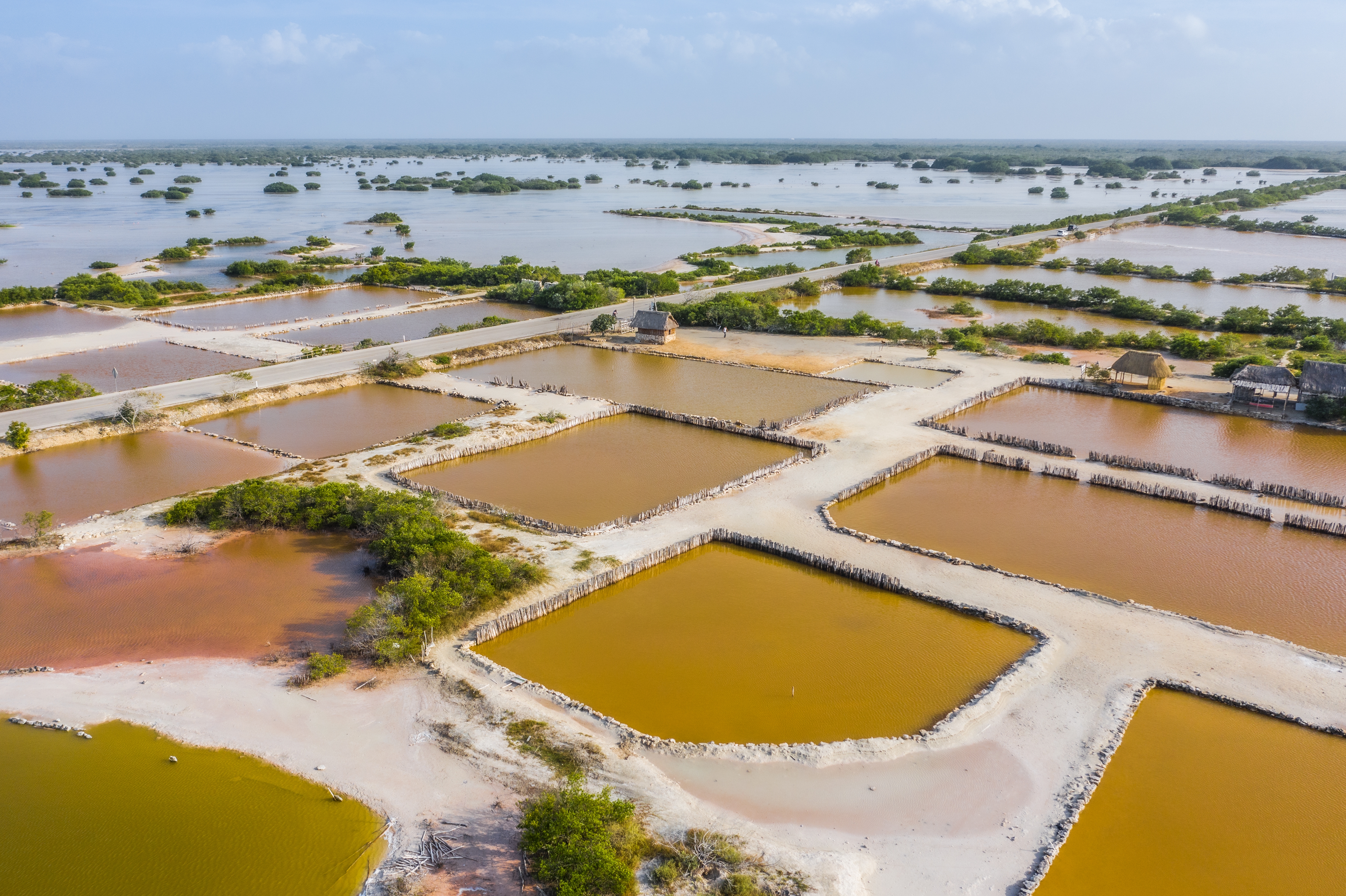 Élevage de poissons